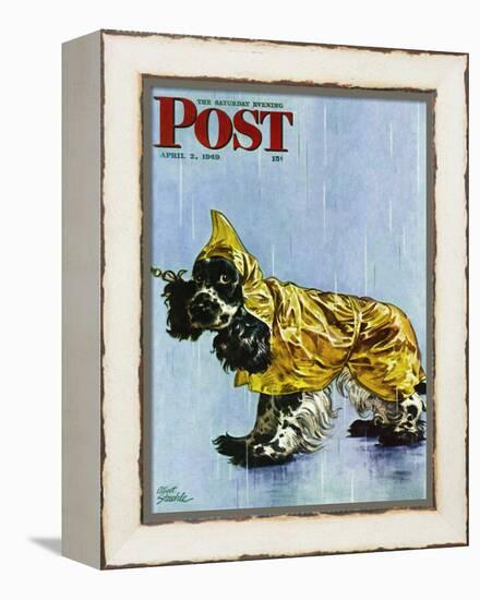 "Butch in Raingear," Saturday Evening Post Cover, April 2, 1949-Albert Staehle-Framed Premier Image Canvas