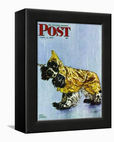 "Butch in Raingear," Saturday Evening Post Cover, April 2, 1949-Albert Staehle-Framed Premier Image Canvas
