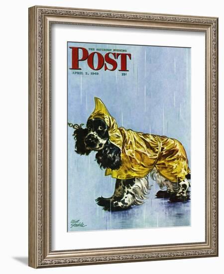 "Butch in Raingear," Saturday Evening Post Cover, April 2, 1949-Albert Staehle-Framed Giclee Print