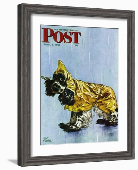 "Butch in Raingear," Saturday Evening Post Cover, April 2, 1949-Albert Staehle-Framed Giclee Print