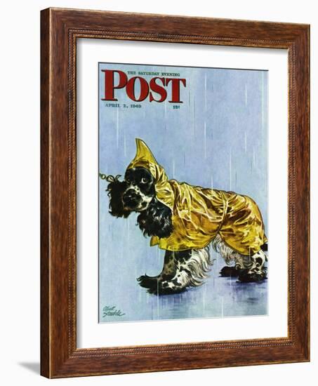 "Butch in Raingear," Saturday Evening Post Cover, April 2, 1949-Albert Staehle-Framed Giclee Print
