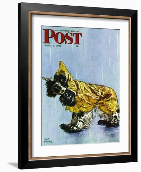 "Butch in Raingear," Saturday Evening Post Cover, April 2, 1949-Albert Staehle-Framed Giclee Print