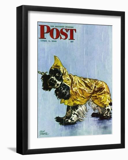 "Butch in Raingear," Saturday Evening Post Cover, April 2, 1949-Albert Staehle-Framed Giclee Print