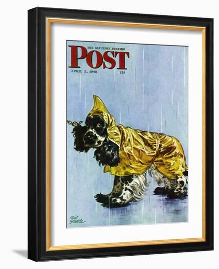 "Butch in Raingear," Saturday Evening Post Cover, April 2, 1949-Albert Staehle-Framed Giclee Print