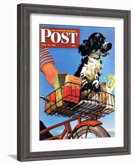 "Butch's Bike Ride," Saturday Evening Post Cover, June 23, 1945-Albert Staehle-Framed Giclee Print