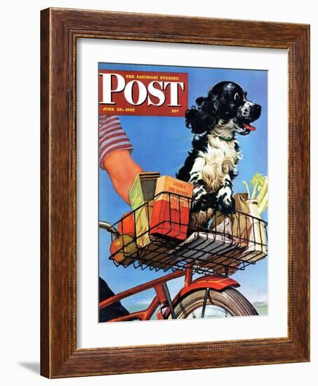 "Butch's Bike Ride," Saturday Evening Post Cover, June 23, 1945-Albert Staehle-Framed Giclee Print