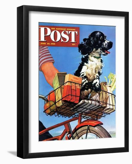 "Butch's Bike Ride," Saturday Evening Post Cover, June 23, 1945-Albert Staehle-Framed Giclee Print