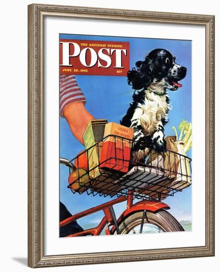 "Butch's Bike Ride," Saturday Evening Post Cover, June 23, 1945-Albert Staehle-Framed Giclee Print