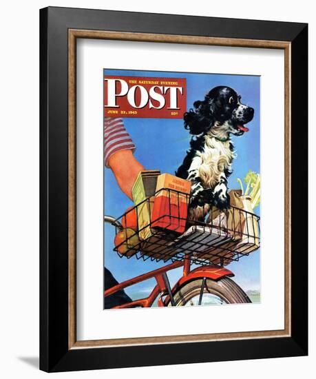 "Butch's Bike Ride," Saturday Evening Post Cover, June 23, 1945-Albert Staehle-Framed Giclee Print