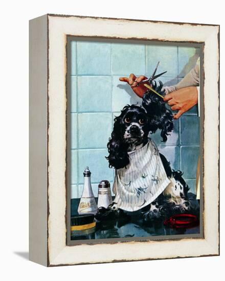 "Butch's Haircut," January 31, 1948-Albert Staehle-Framed Premier Image Canvas