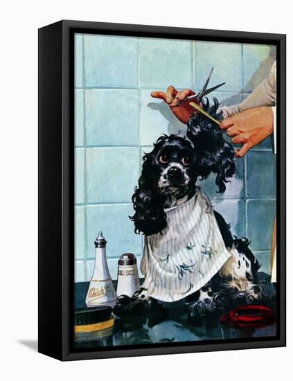 "Butch's Haircut," January 31, 1948-Albert Staehle-Framed Premier Image Canvas
