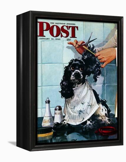 "Butch's Haircut," Saturday Evening Post Cover, January 31, 1948-Albert Staehle-Framed Premier Image Canvas