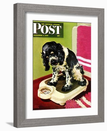 "Butch Weighs In," Saturday Evening Post Cover, September 1, 1945-Albert Staehle-Framed Premium Giclee Print