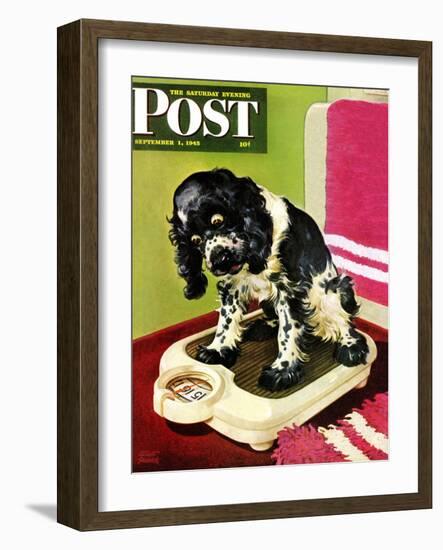 "Butch Weighs In," Saturday Evening Post Cover, September 1, 1945-Albert Staehle-Framed Premium Giclee Print