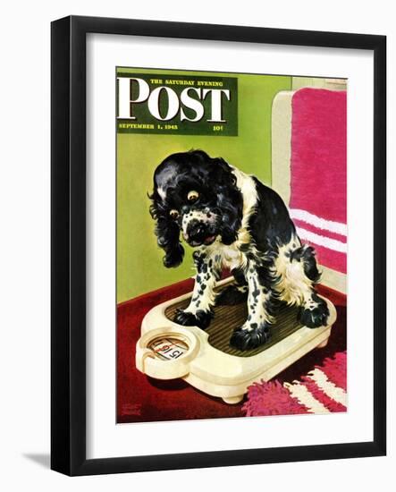 "Butch Weighs In," Saturday Evening Post Cover, September 1, 1945-Albert Staehle-Framed Premium Giclee Print