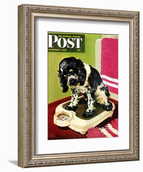 "Butch Weighs In," Saturday Evening Post Cover, September 1, 1945-Albert Staehle-Framed Giclee Print