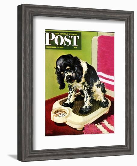 "Butch Weighs In," Saturday Evening Post Cover, September 1, 1945-Albert Staehle-Framed Giclee Print