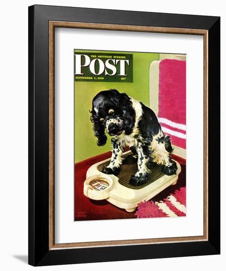 "Butch Weighs In," Saturday Evening Post Cover, September 1, 1945-Albert Staehle-Framed Giclee Print