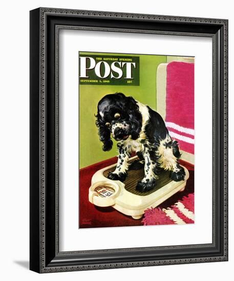 "Butch Weighs In," Saturday Evening Post Cover, September 1, 1945-Albert Staehle-Framed Giclee Print