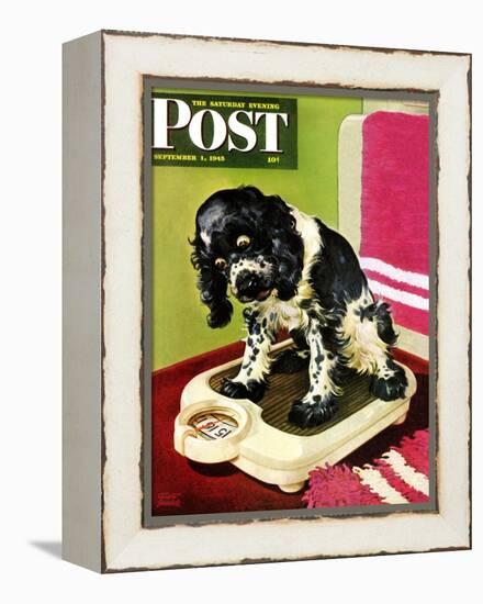 "Butch Weighs In," Saturday Evening Post Cover, September 1, 1945-Albert Staehle-Framed Premier Image Canvas