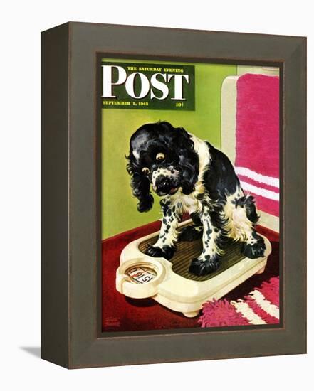 "Butch Weighs In," Saturday Evening Post Cover, September 1, 1945-Albert Staehle-Framed Premier Image Canvas