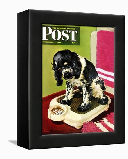 "Butch Weighs In," Saturday Evening Post Cover, September 1, 1945-Albert Staehle-Framed Premier Image Canvas