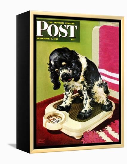 "Butch Weighs In," Saturday Evening Post Cover, September 1, 1945-Albert Staehle-Framed Premier Image Canvas