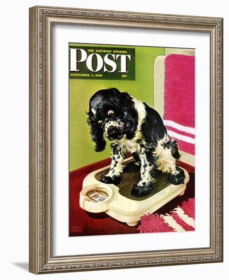 "Butch Weighs In," Saturday Evening Post Cover, September 1, 1945-Albert Staehle-Framed Giclee Print