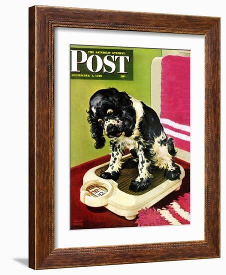 "Butch Weighs In," Saturday Evening Post Cover, September 1, 1945-Albert Staehle-Framed Giclee Print