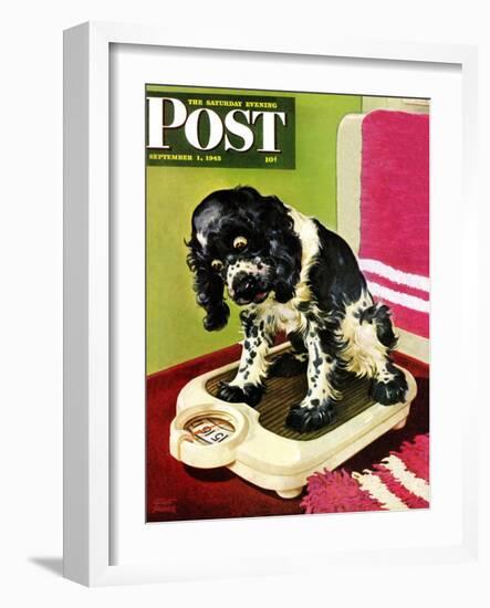 "Butch Weighs In," Saturday Evening Post Cover, September 1, 1945-Albert Staehle-Framed Giclee Print