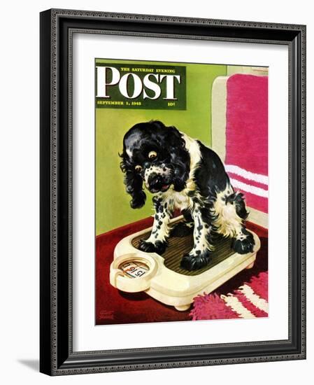 "Butch Weighs In," Saturday Evening Post Cover, September 1, 1945-Albert Staehle-Framed Giclee Print