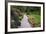 Butchart Gardens in Full Bloom, Victoria, British Columbia, Canada-Terry Eggers-Framed Photographic Print