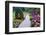 Butchart Gardens in Full Bloom, Victoria, British Columbia, Canada-Terry Eggers-Framed Photographic Print