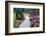 Butchart Gardens in Full Bloom, Victoria, British Columbia, Canada-Terry Eggers-Framed Photographic Print