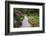 Butchart Gardens in Full Bloom, Victoria, British Columbia, Canada-Terry Eggers-Framed Photographic Print