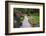 Butchart Gardens in Full Bloom, Victoria, British Columbia, Canada-Terry Eggers-Framed Photographic Print