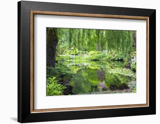 Butchart Gardens in Full Bloom, Victoria, British Columbia, Canada-Terry Eggers-Framed Photographic Print