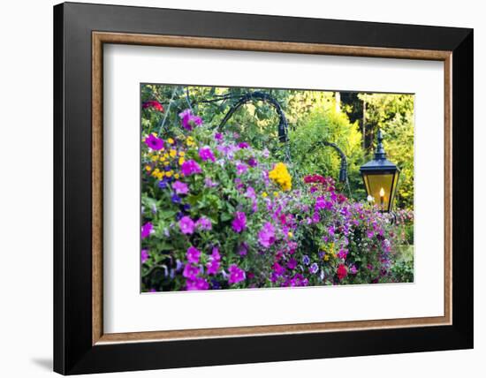 Butchart Gardens in Full Bloom, Victoria, British Columbia, Canada-Terry Eggers-Framed Photographic Print