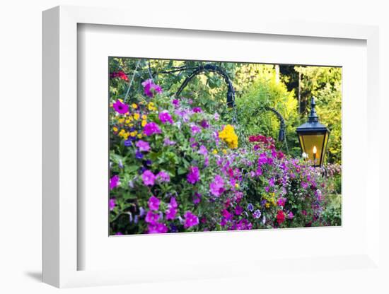 Butchart Gardens in Full Bloom, Victoria, British Columbia, Canada-Terry Eggers-Framed Photographic Print