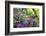 Butchart Gardens in Full Bloom, Victoria, British Columbia, Canada-Terry Eggers-Framed Photographic Print