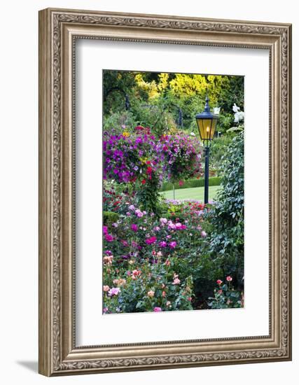 Butchart Gardens in Full Bloom, Victoria, British Columbia, Canada-Terry Eggers-Framed Photographic Print