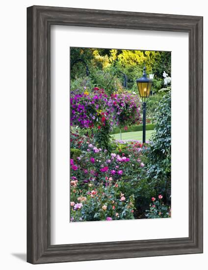 Butchart Gardens in Full Bloom, Victoria, British Columbia, Canada-Terry Eggers-Framed Photographic Print