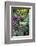 Butchart Gardens in Full Bloom, Victoria, British Columbia, Canada-Terry Eggers-Framed Photographic Print