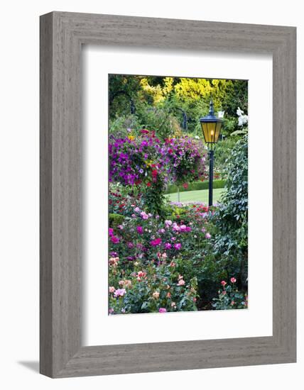 Butchart Gardens in Full Bloom, Victoria, British Columbia, Canada-Terry Eggers-Framed Photographic Print