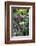 Butchart Gardens in Full Bloom, Victoria, British Columbia, Canada-Terry Eggers-Framed Photographic Print