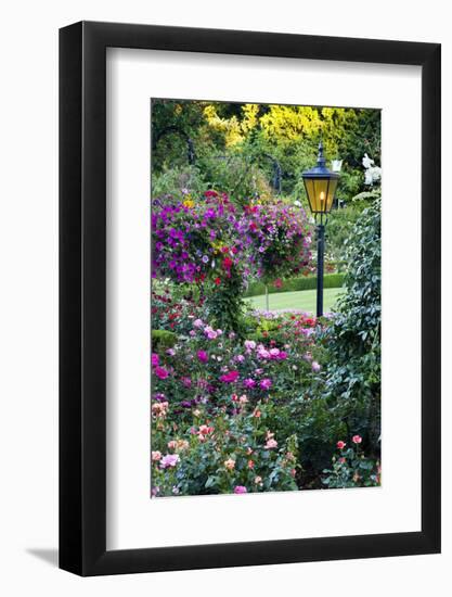 Butchart Gardens in Full Bloom, Victoria, British Columbia, Canada-Terry Eggers-Framed Photographic Print