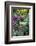 Butchart Gardens in Full Bloom, Victoria, British Columbia, Canada-Terry Eggers-Framed Photographic Print