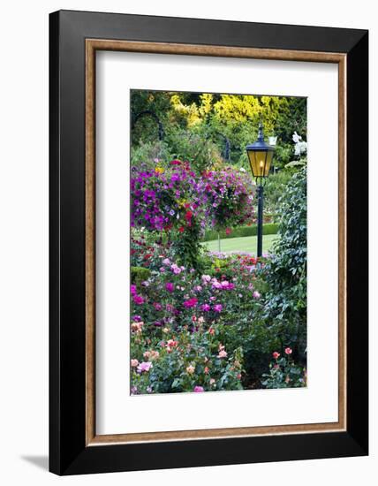 Butchart Gardens in Full Bloom, Victoria, British Columbia, Canada-Terry Eggers-Framed Photographic Print