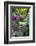 Butchart Gardens in Full Bloom, Victoria, British Columbia, Canada-Terry Eggers-Framed Photographic Print