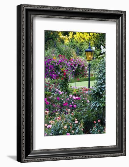 Butchart Gardens in Full Bloom, Victoria, British Columbia, Canada-Terry Eggers-Framed Photographic Print